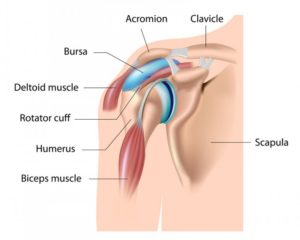 Shoulder Pain Treatment in Los Angeles